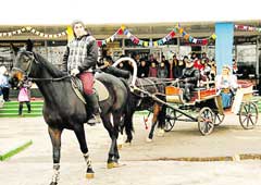 ������ ������