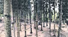 ������ ������