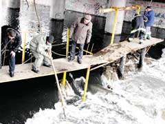 ������ ������