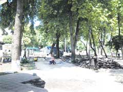 ������ ������