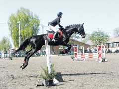 ������ ������