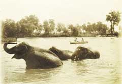 ������ ������