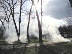 ������ ������