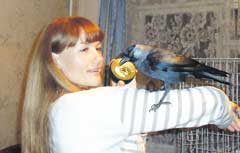 ������ ������